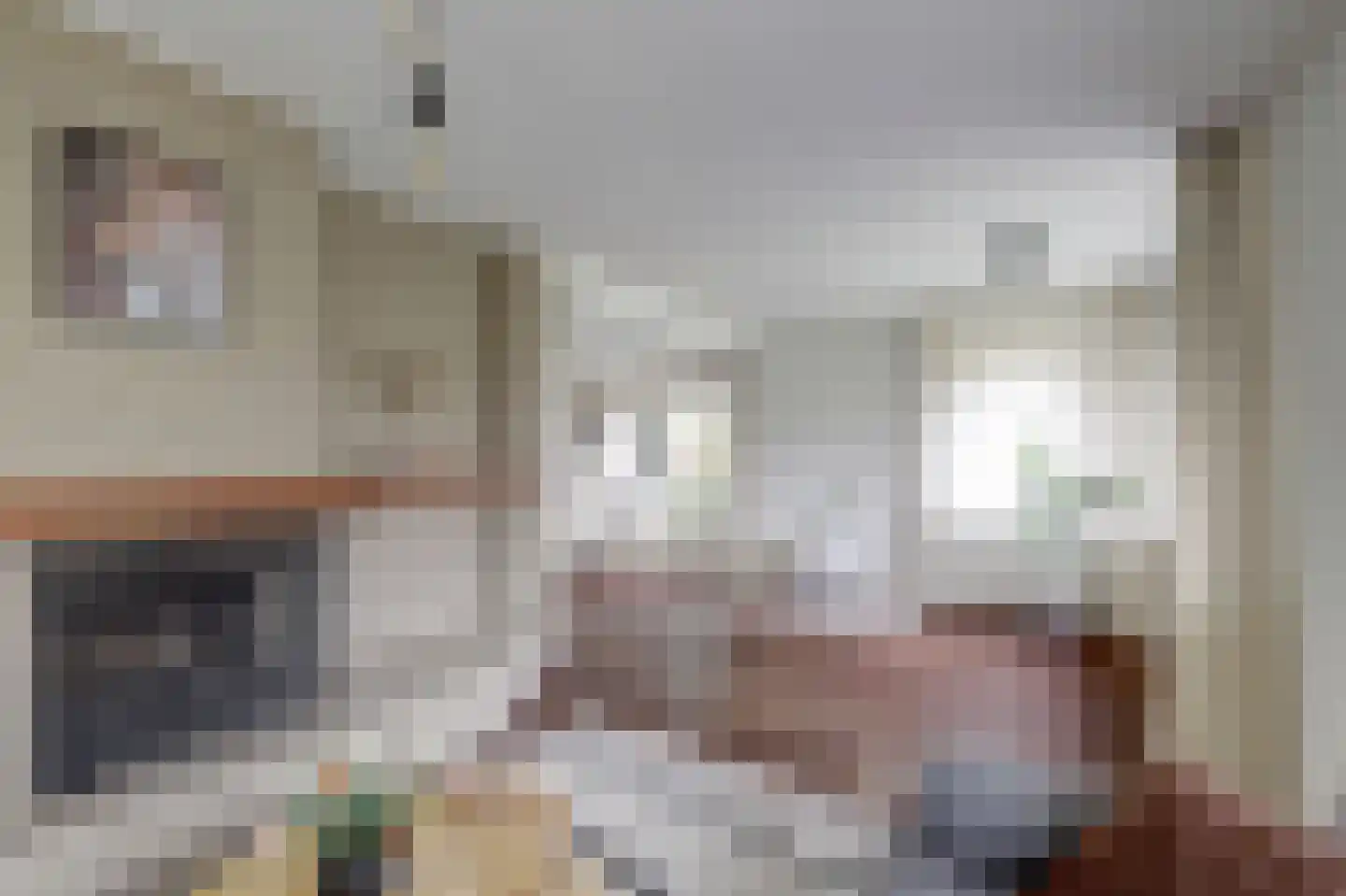 Lijsenhof 47 Brakel thumbnail 20