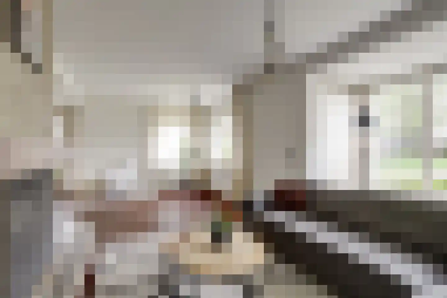 Lijsenhof 47 Brakel thumbnail 21