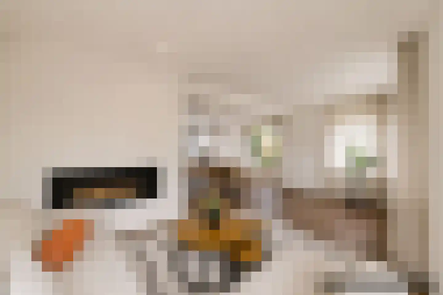 Lijsenhof 47 Brakel thumbnail 22
