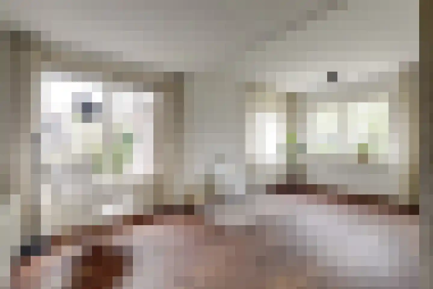 Lijsenhof 47 Brakel thumbnail 22