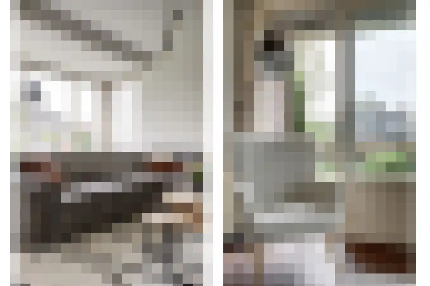 Lijsenhof 47 Brakel thumbnail 24