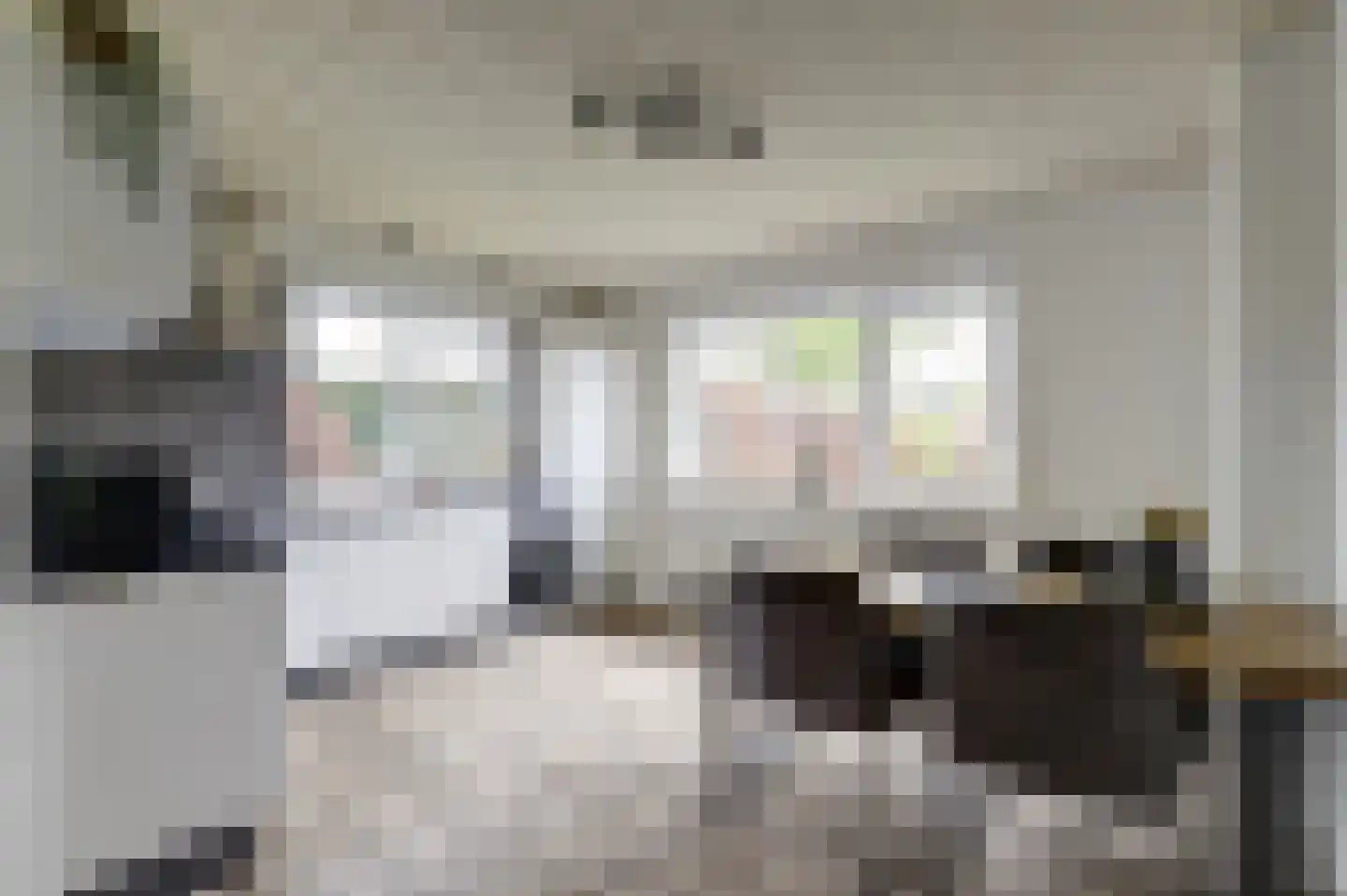 Lijsenhof 47 Brakel thumbnail 26