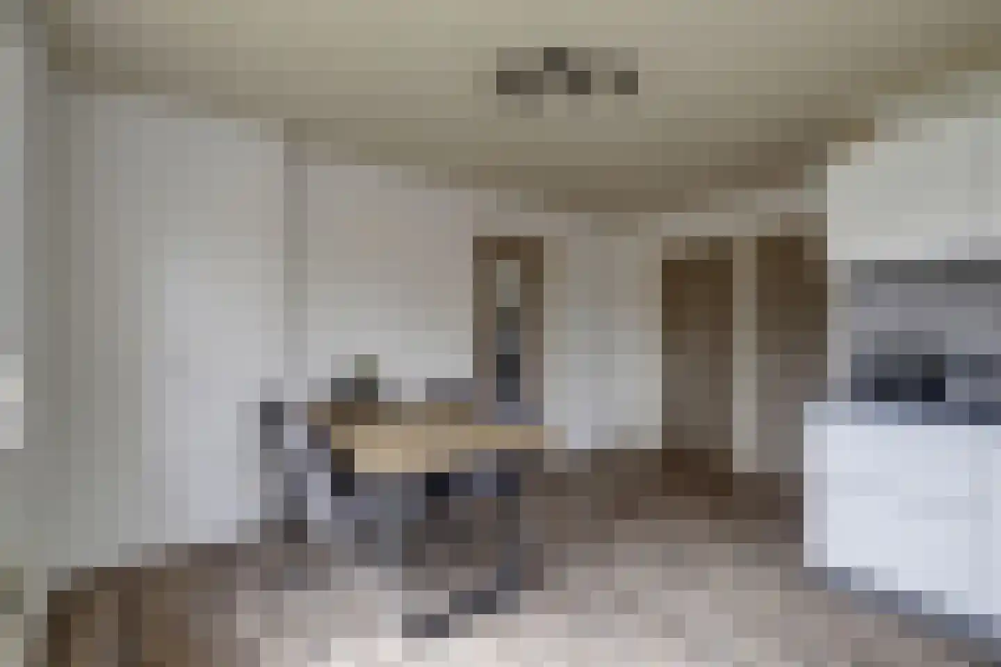 Lijsenhof 47 Brakel thumbnail 27