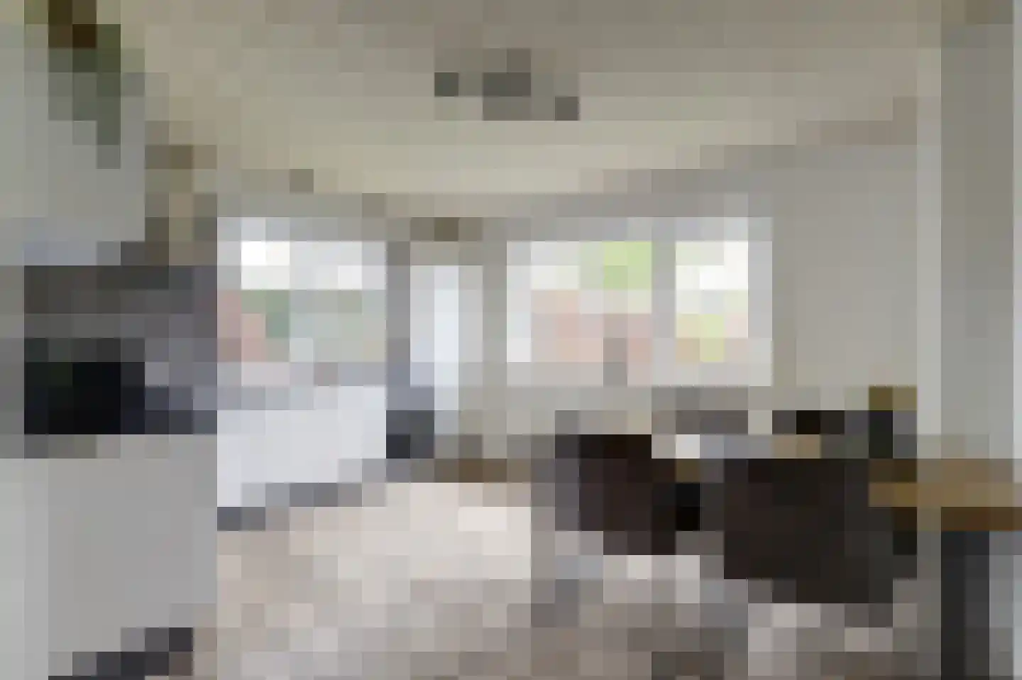 Lijsenhof 47 Brakel thumbnail 28