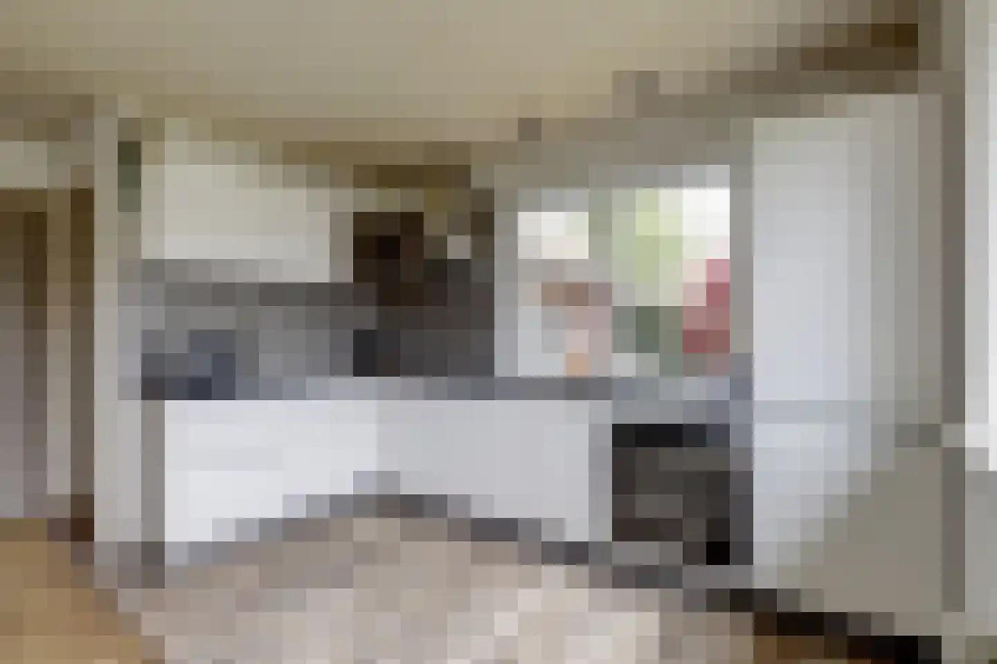Lijsenhof 47 Brakel thumbnail 28