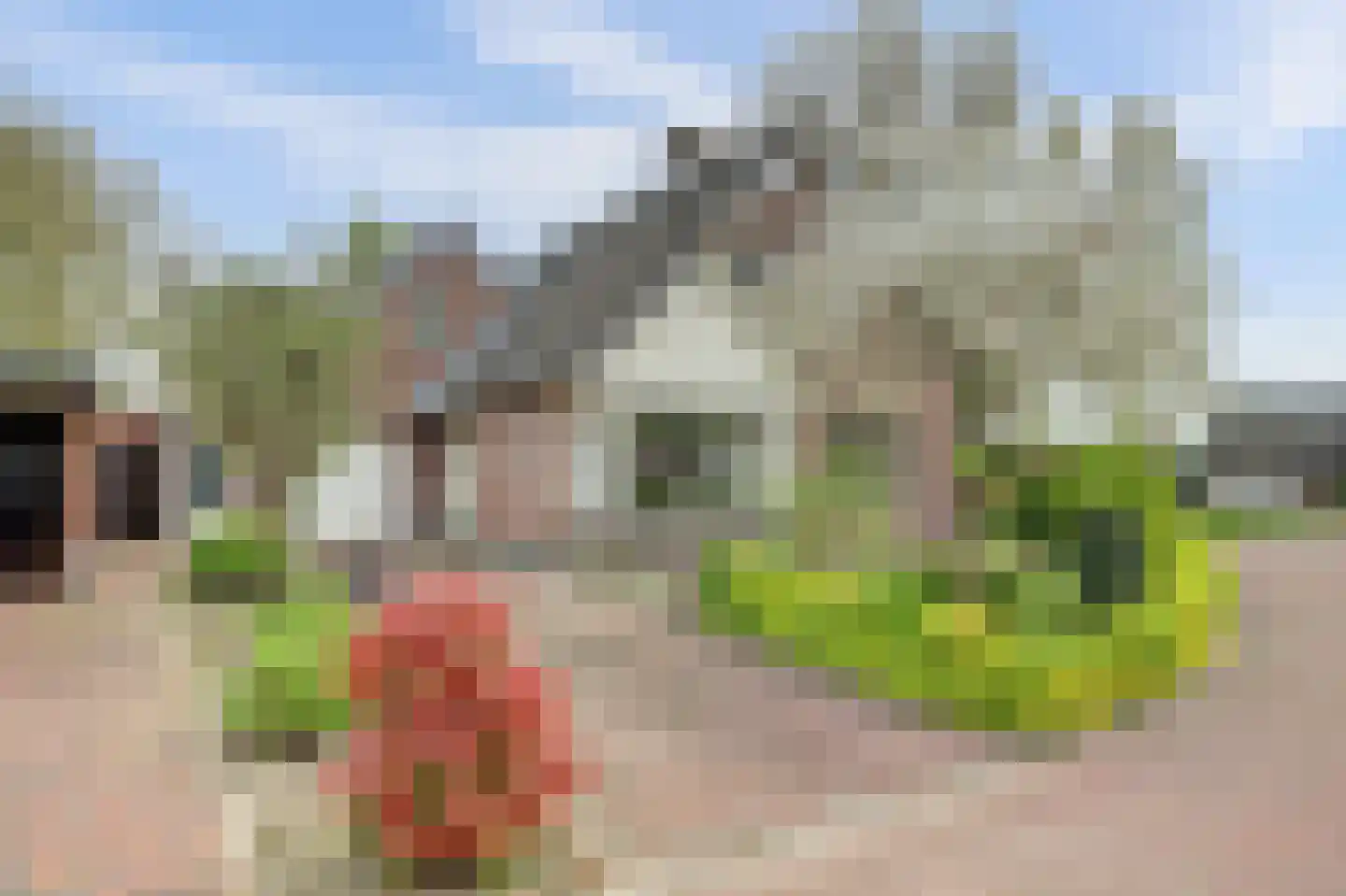 Lijsenhof 47 Brakel foto 3