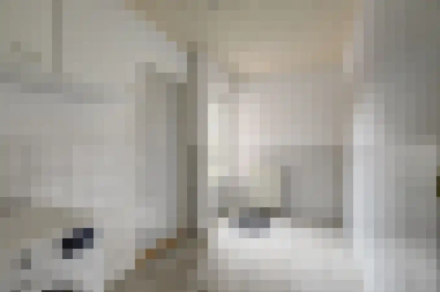 Lijsenhof 47 Brakel thumbnail 30