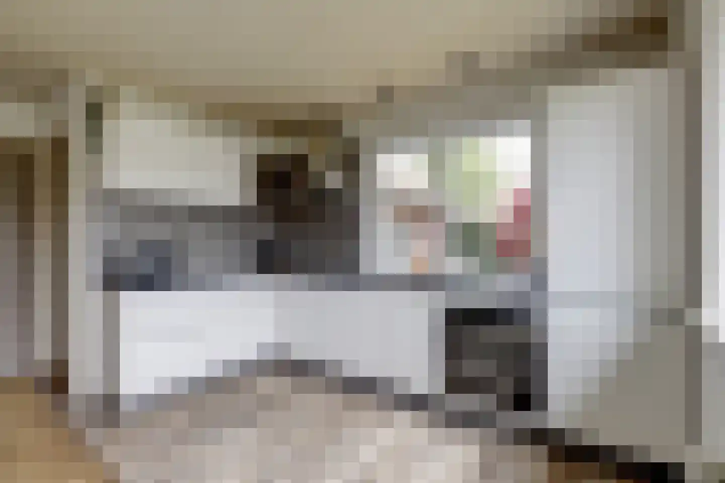 Lijsenhof 47 Brakel thumbnail 31