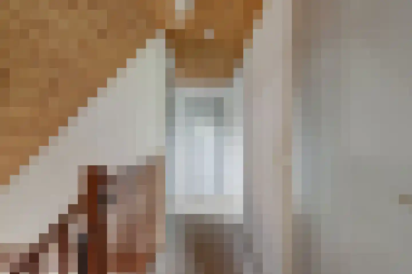 Lijsenhof 47 Brakel thumbnail 31