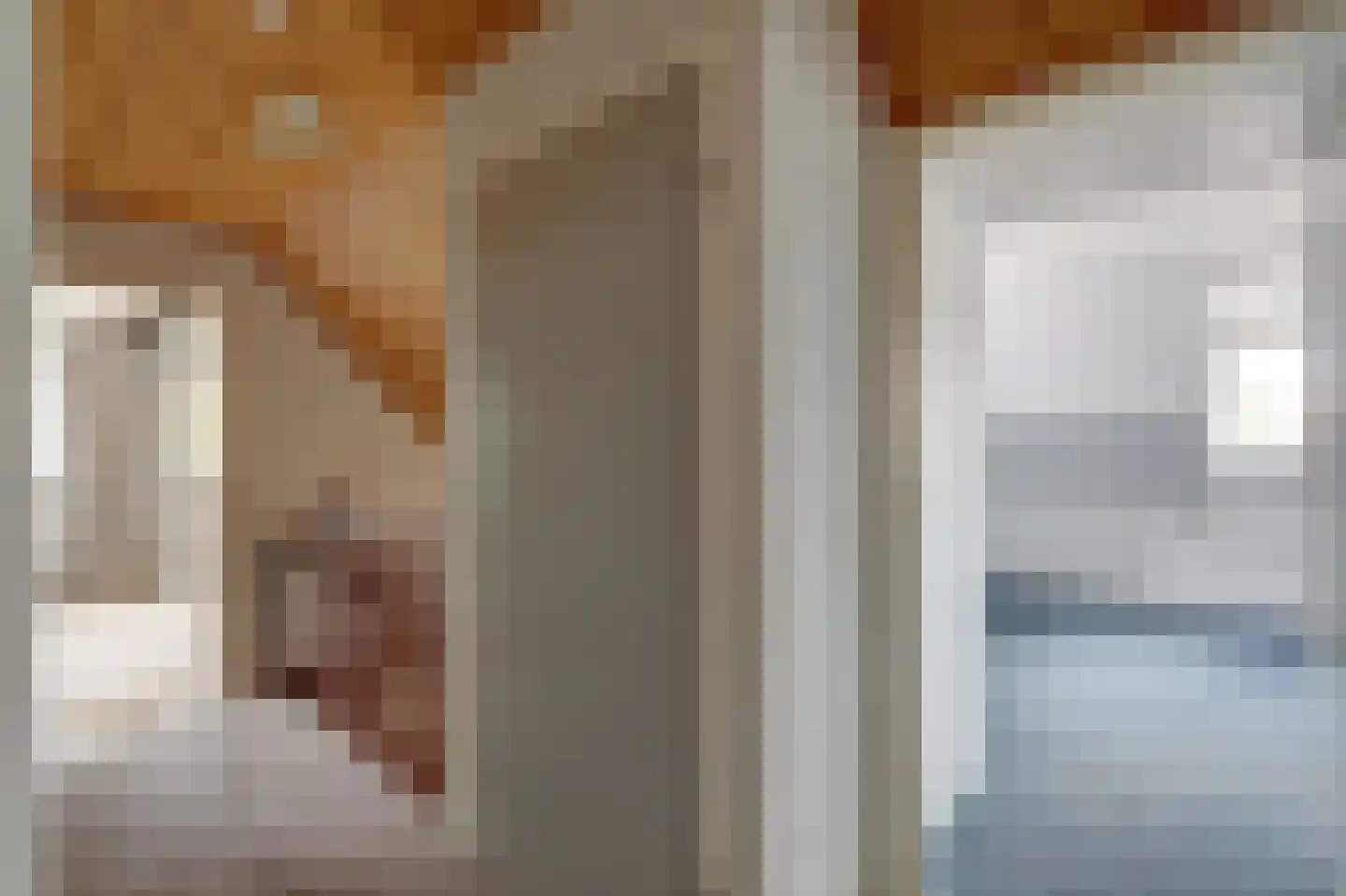 Lijsenhof 47 Brakel thumbnail 32