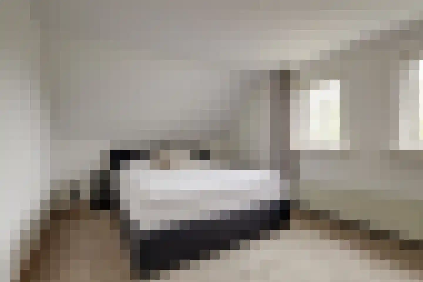 Lijsenhof 47 Brakel thumbnail 33