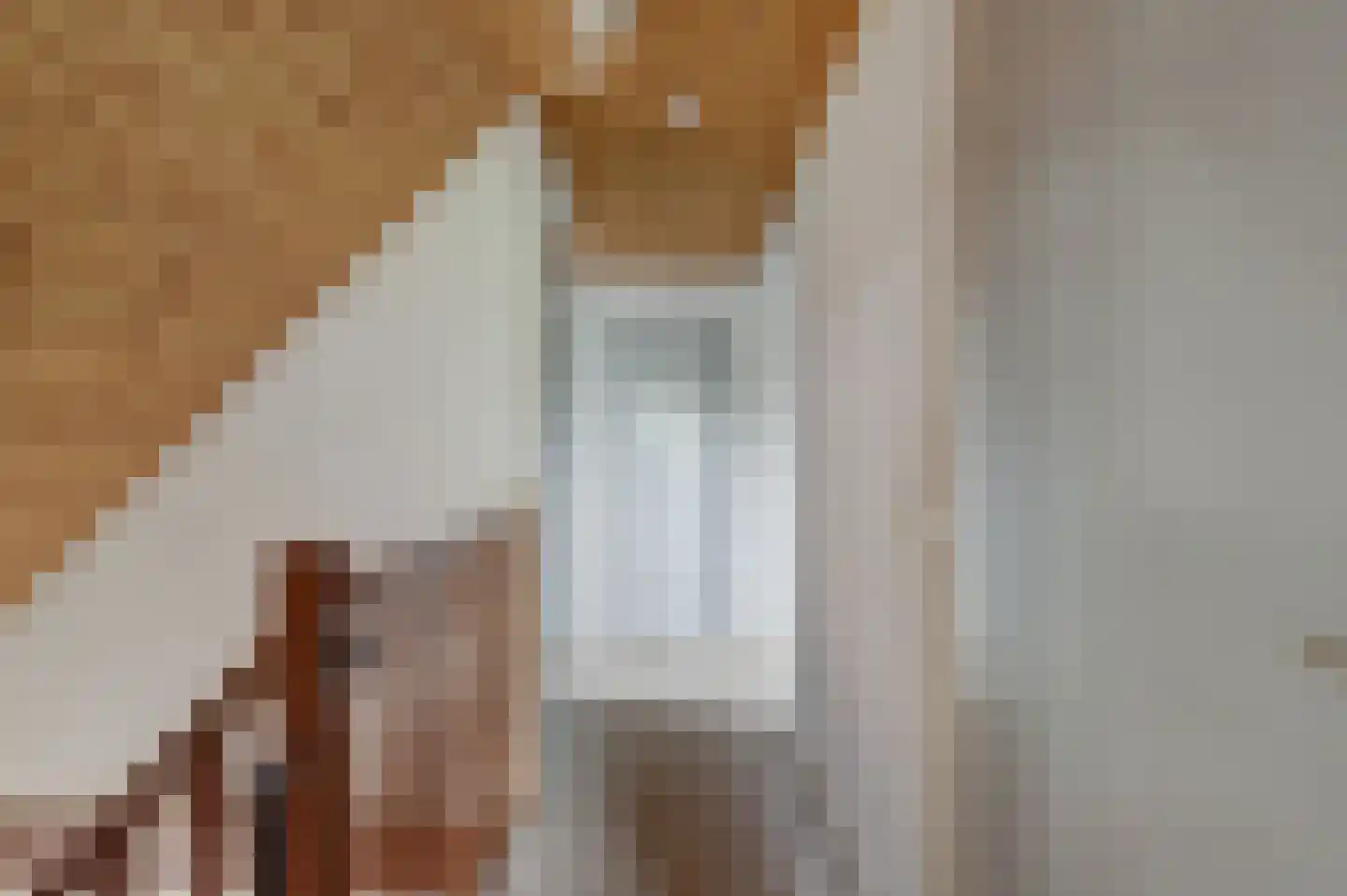 Lijsenhof 47 Brakel thumbnail 34