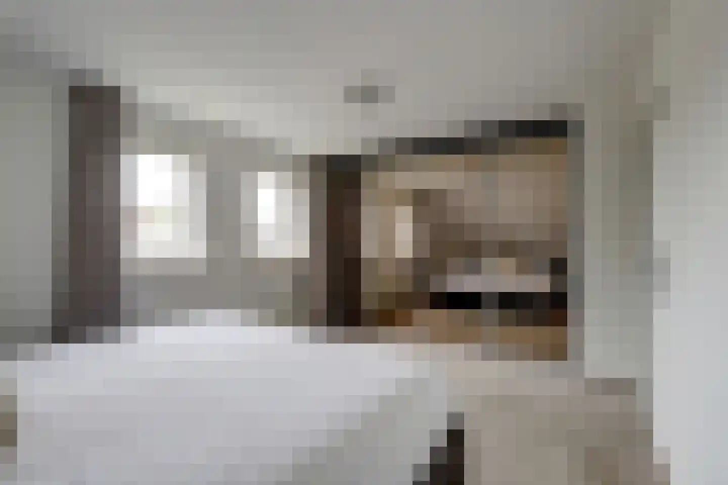Lijsenhof 47 Brakel thumbnail 34