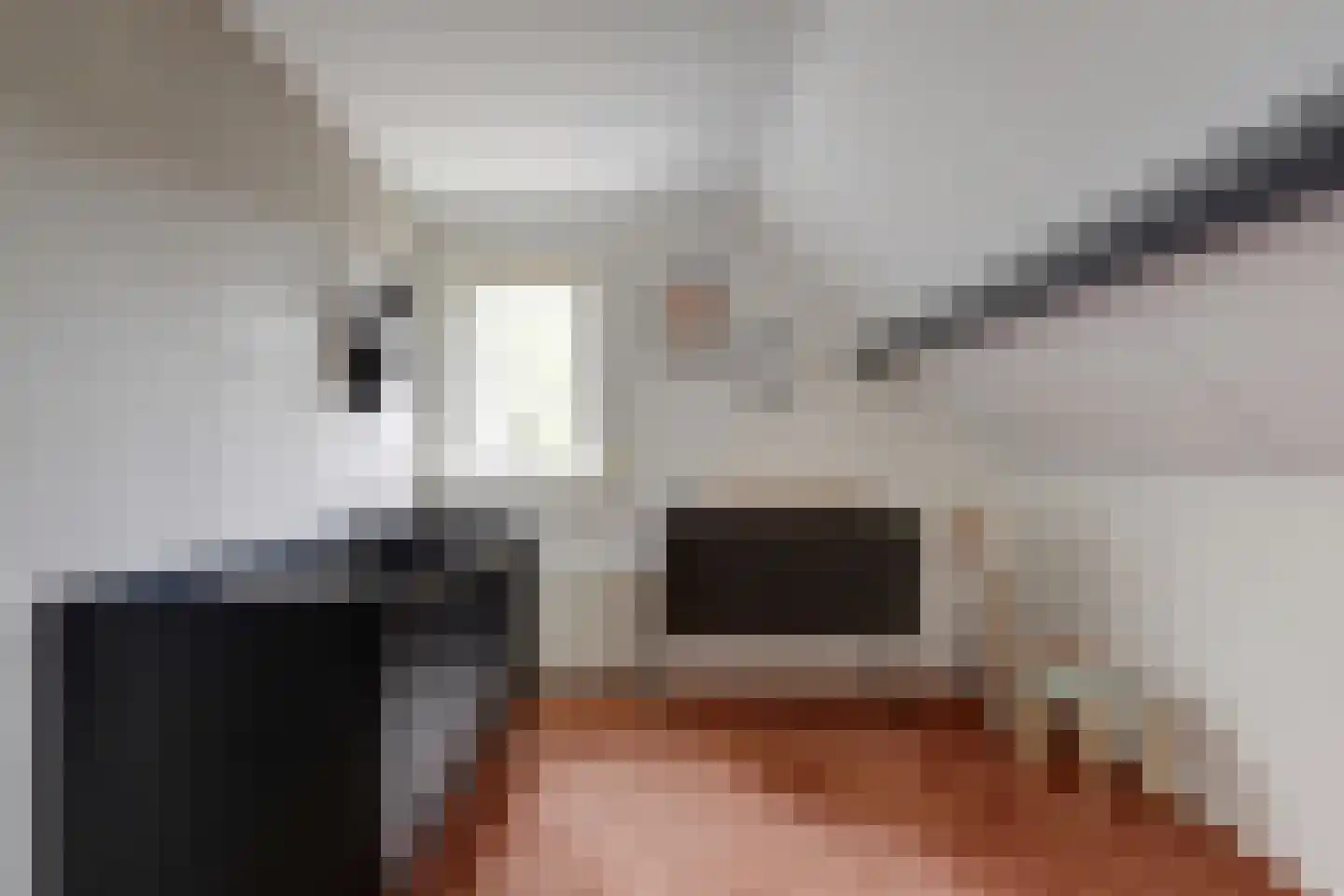 Lijsenhof 47 Brakel thumbnail 35