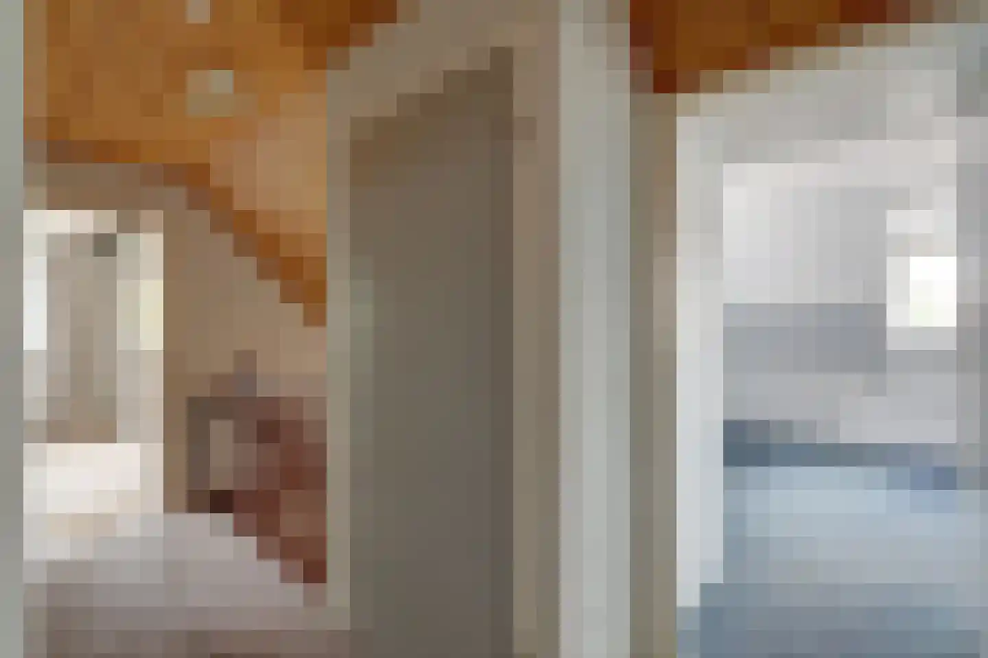 Lijsenhof 47 Brakel thumbnail 35