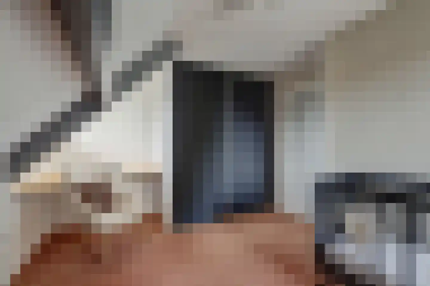 Lijsenhof 47 Brakel thumbnail 36
