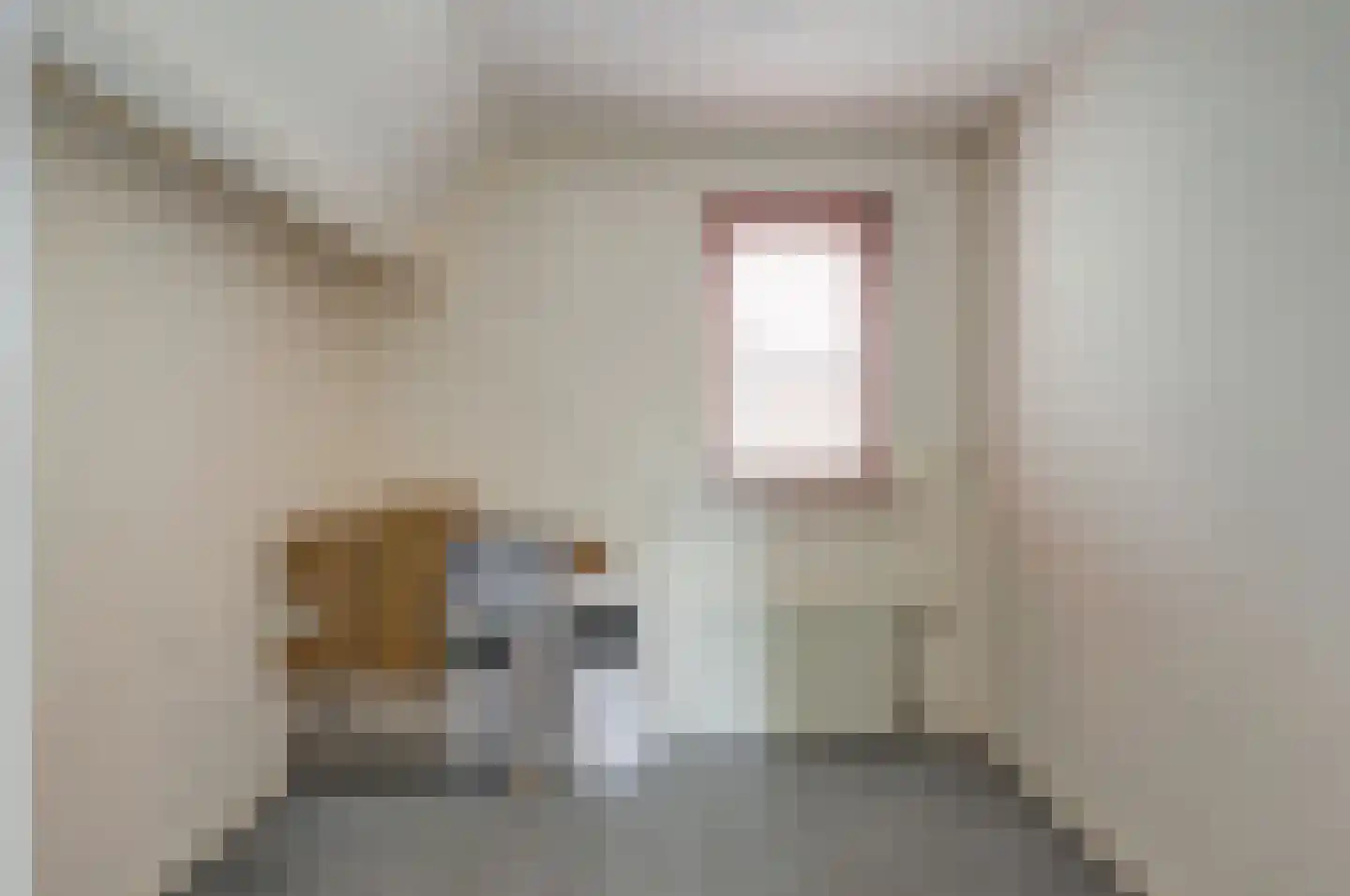 Lijsenhof 47 Brakel thumbnail 37