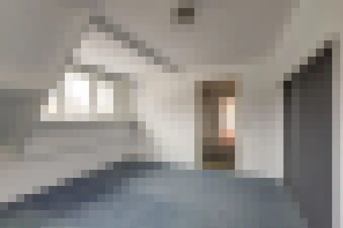 Lijsenhof 47 Brakel thumbnail 38