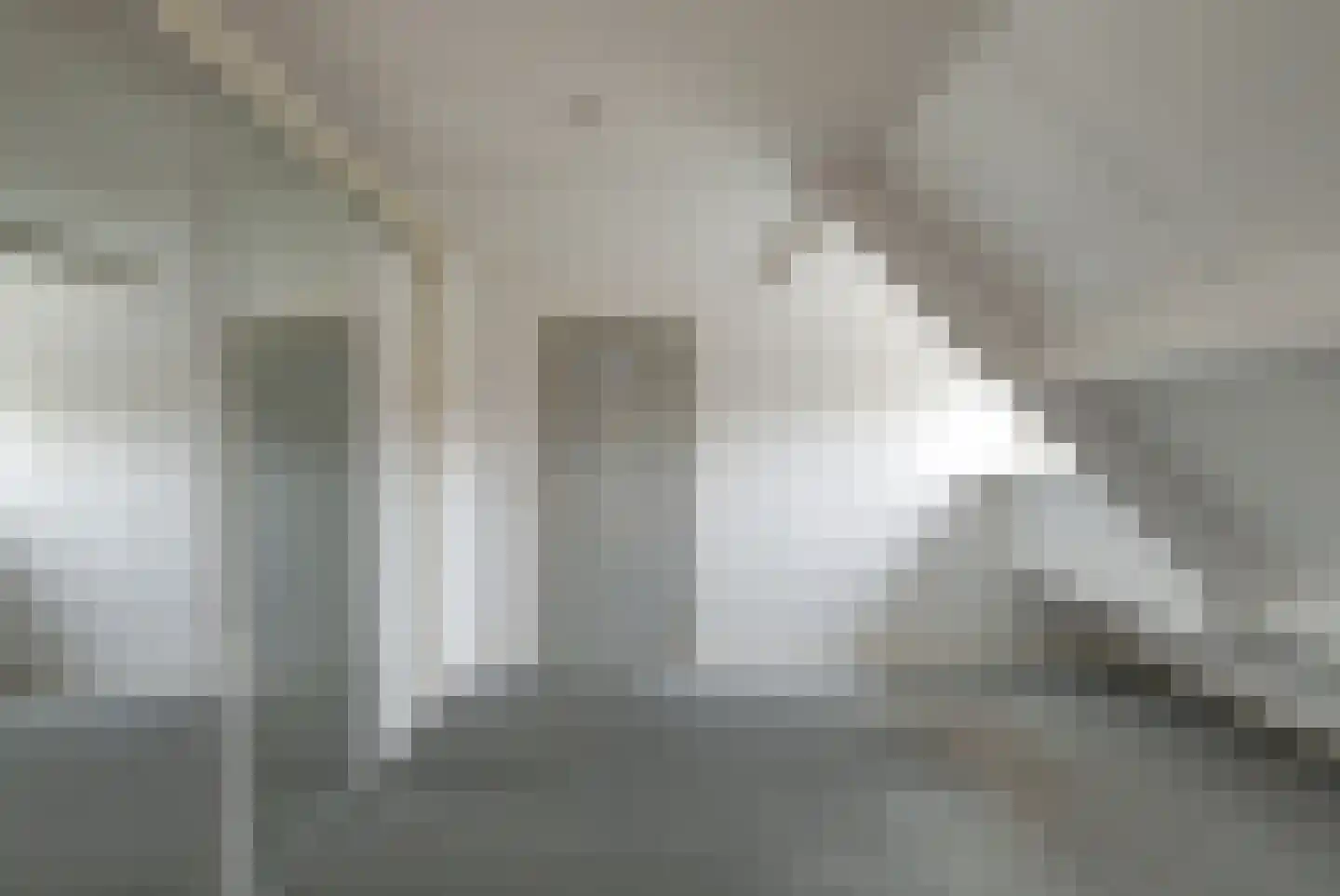 Lijsenhof 47 Brakel thumbnail 41