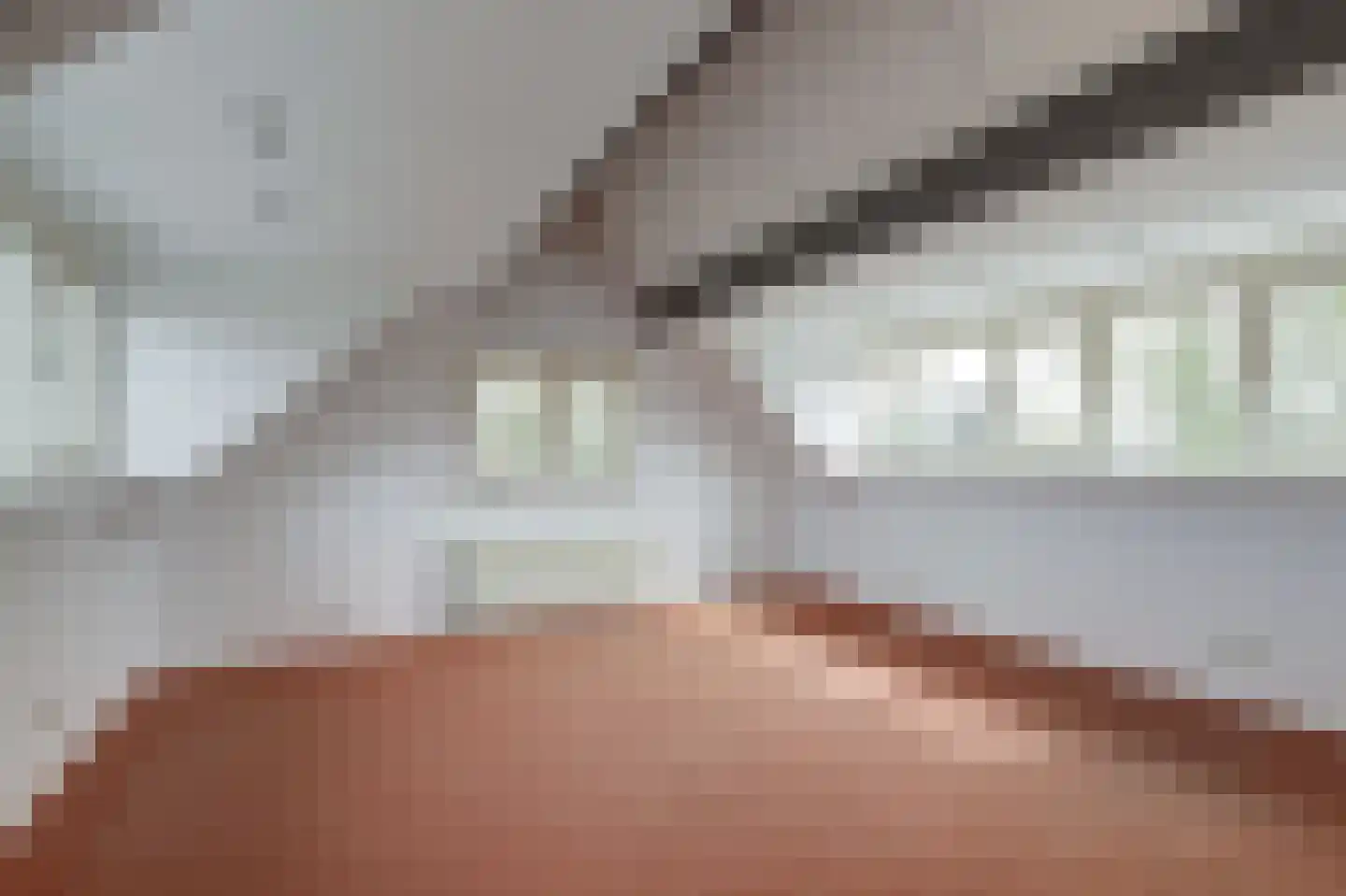 Lijsenhof 47 Brakel thumbnail 42