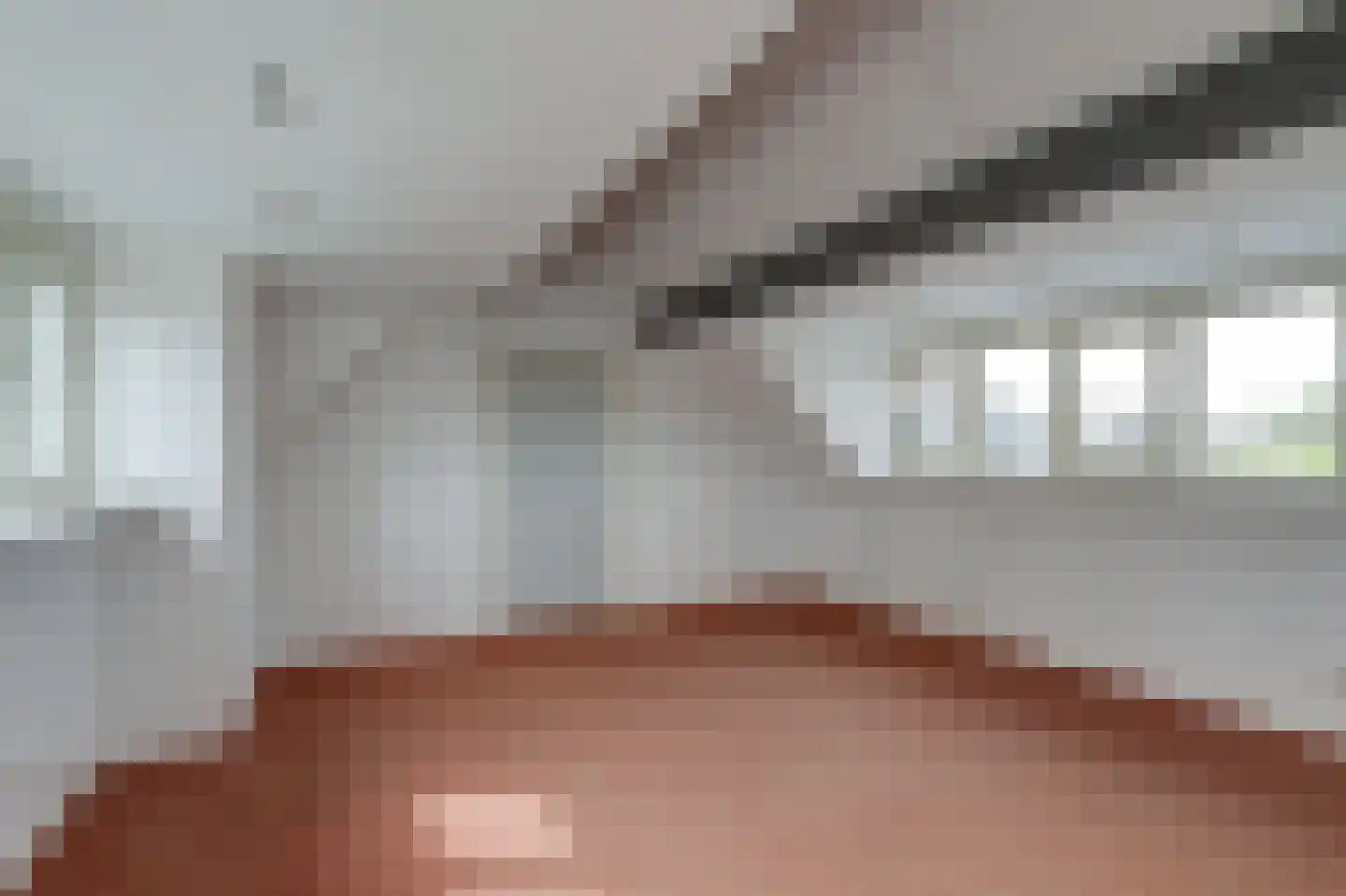 Lijsenhof 47 Brakel thumbnail 43