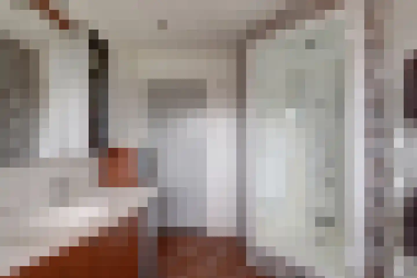 Lijsenhof 47 Brakel thumbnail 45