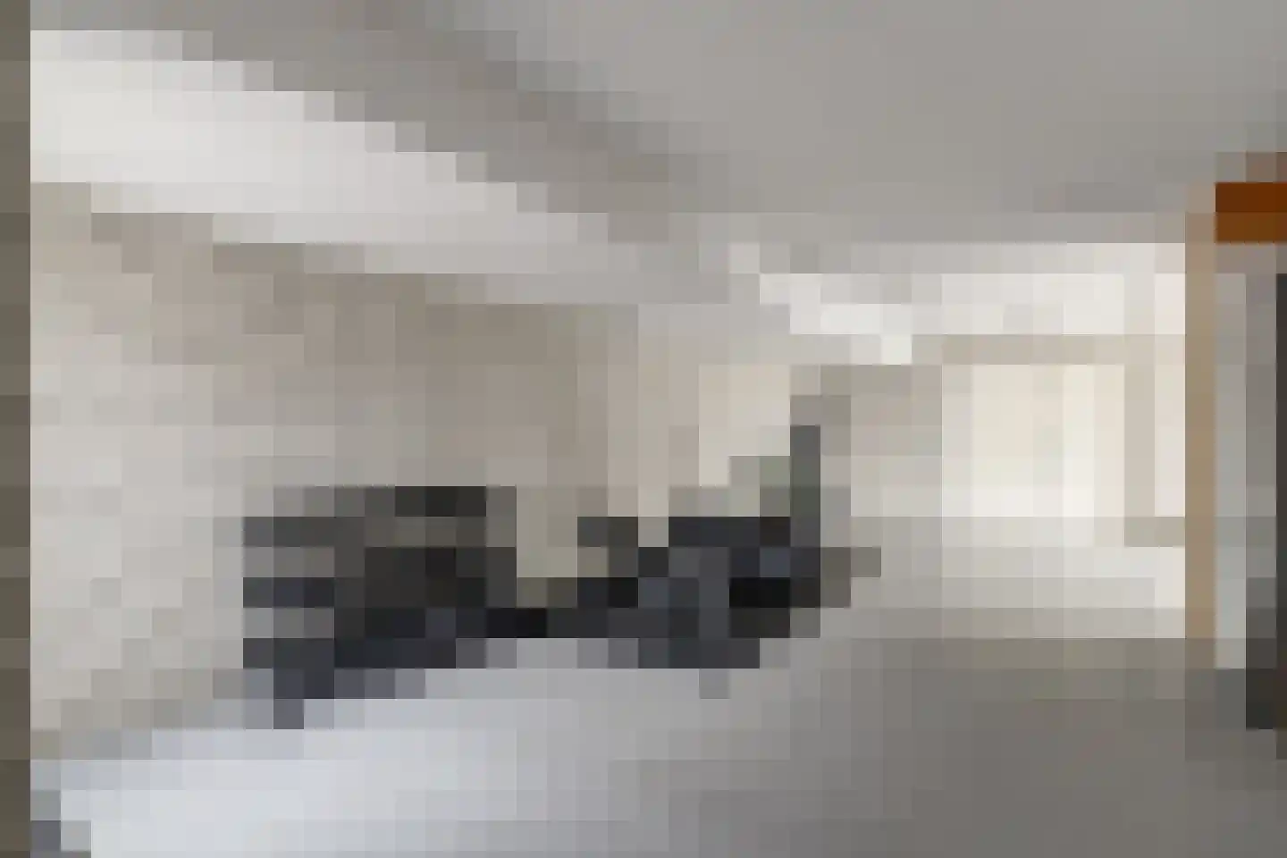 Lijsenhof 47 Brakel thumbnail 49