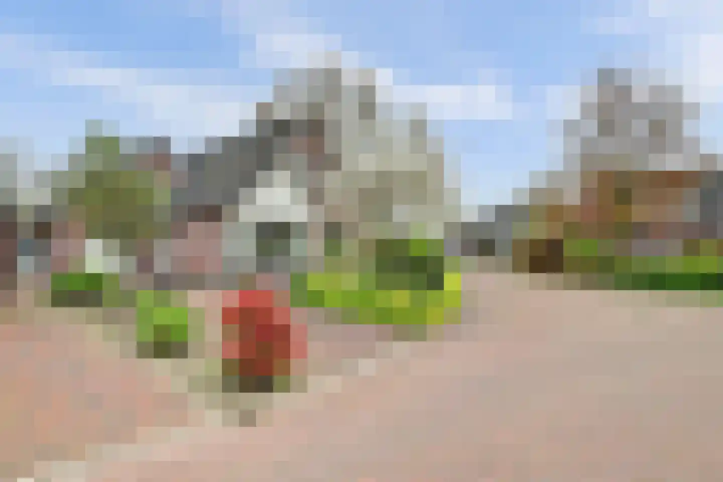 Lijsenhof 47 Brakel thumbnail 5