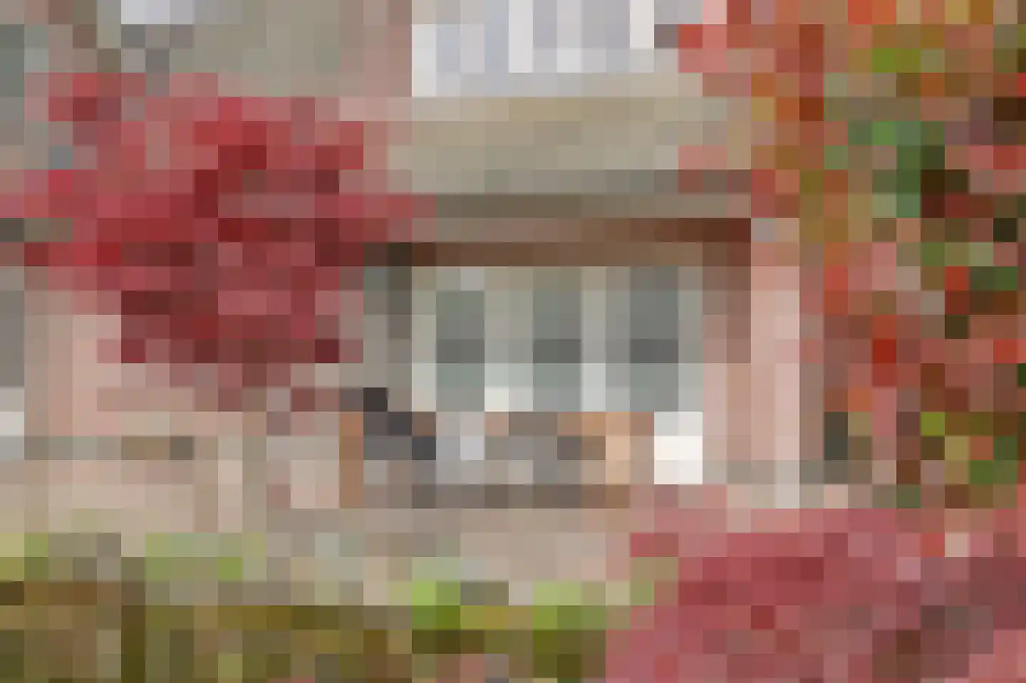Lijsenhof 47 Brakel thumbnail 52