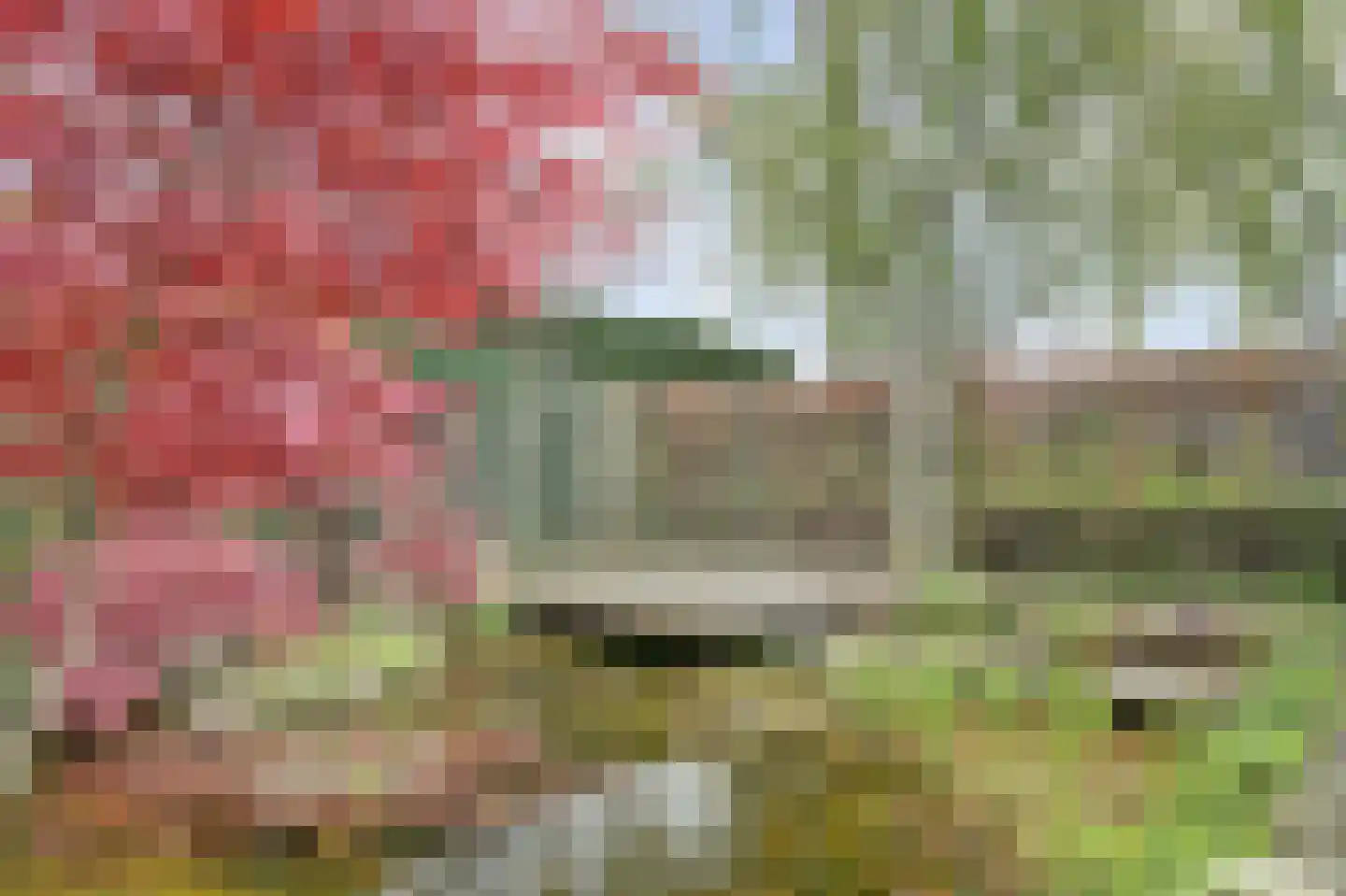 Lijsenhof 47 Brakel thumbnail 53