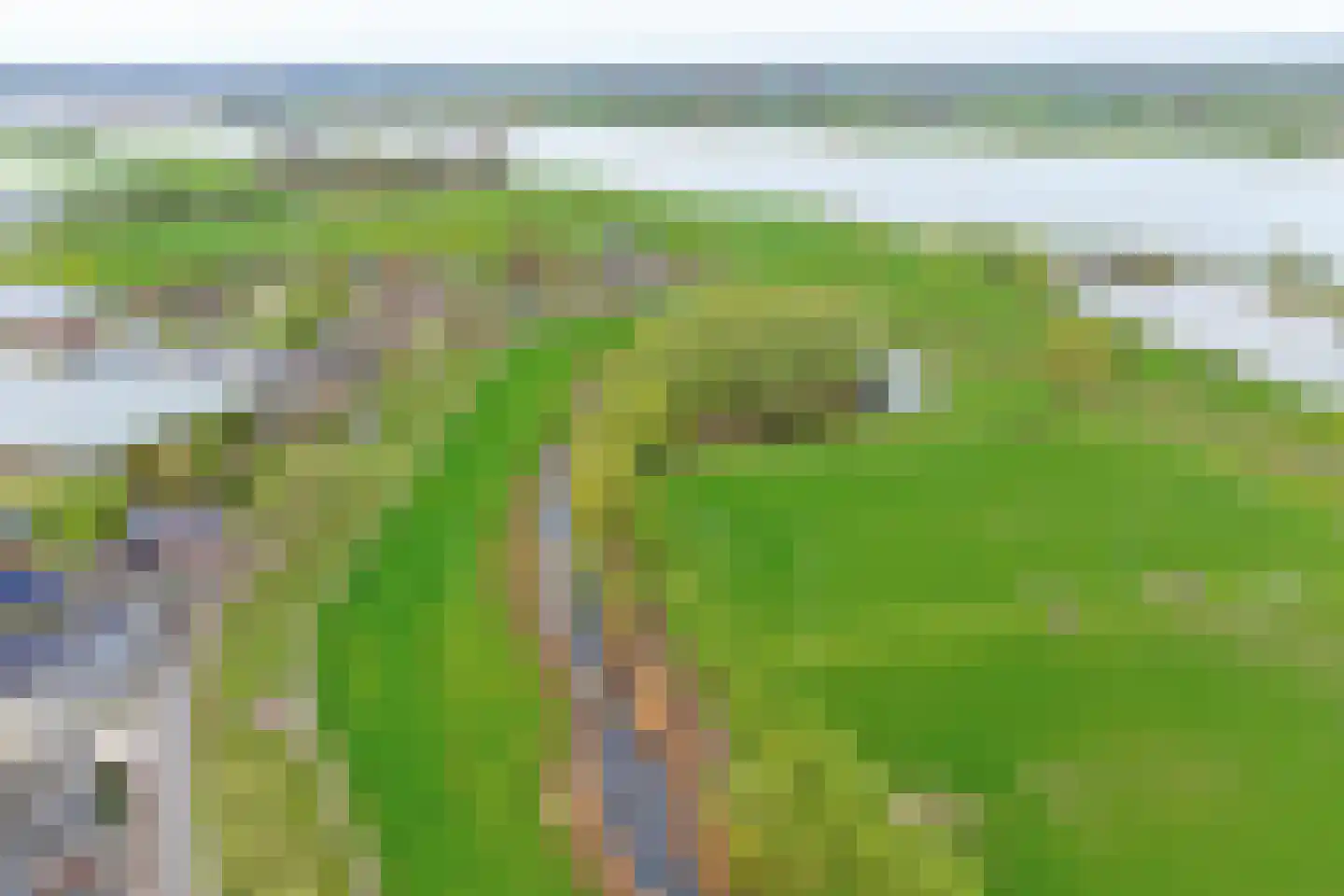 Lijsenhof 47 Brakel thumbnail 55