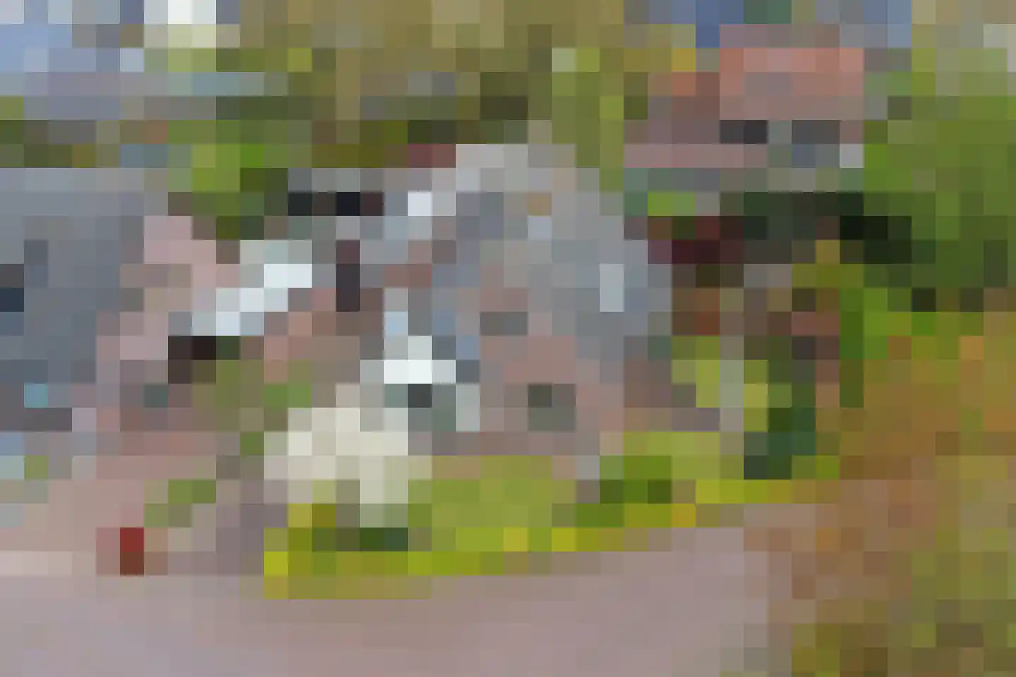 Lijsenhof 47 Brakel thumbnail 56