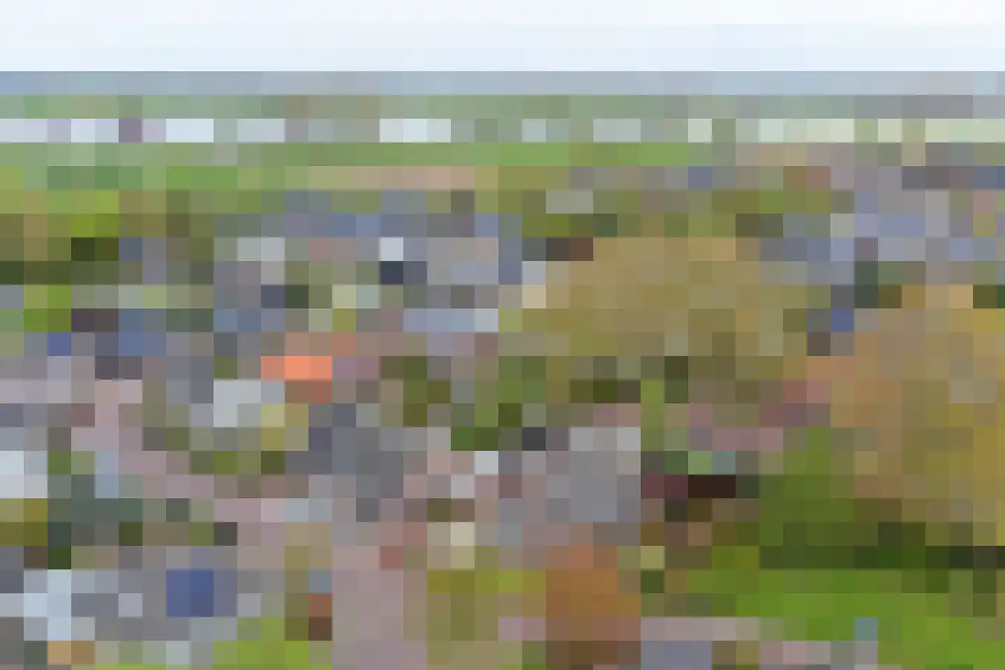 Lijsenhof 47 Brakel thumbnail 57