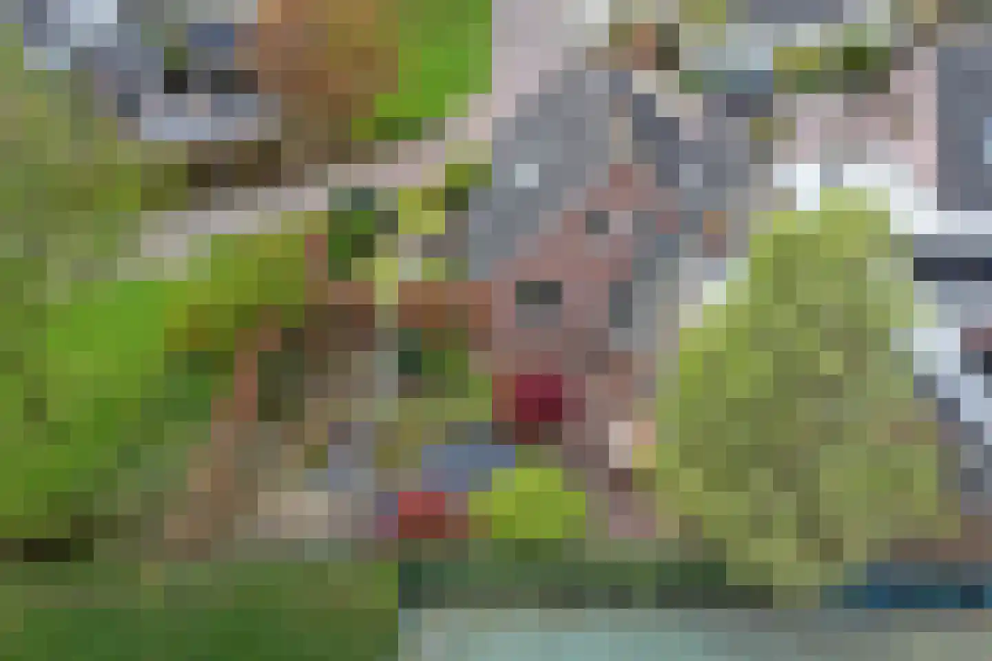 Lijsenhof 47 Brakel thumbnail 58