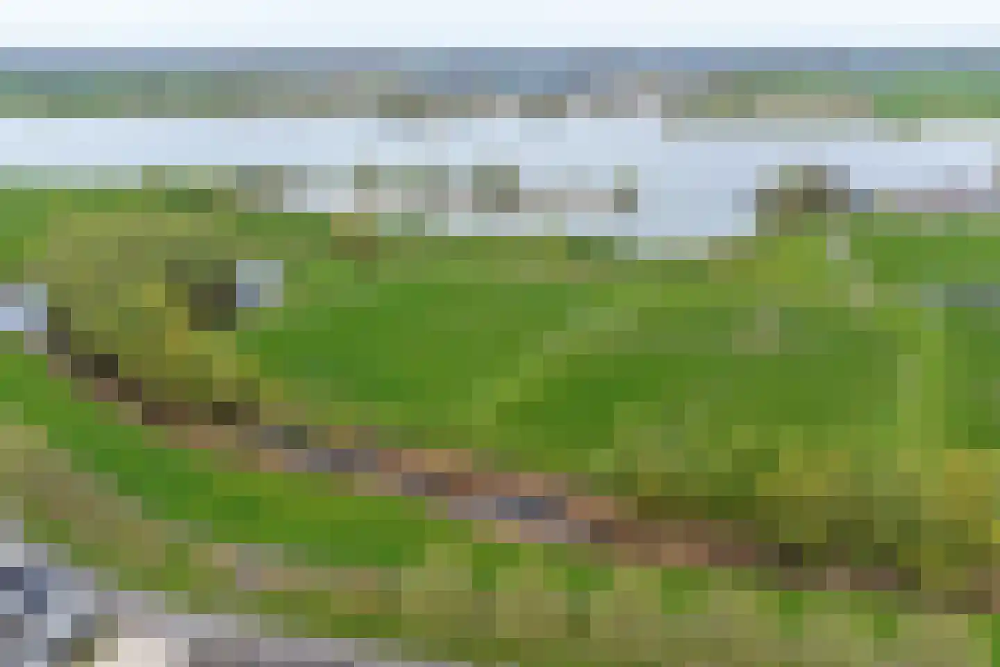 Lijsenhof 47 Brakel thumbnail 59