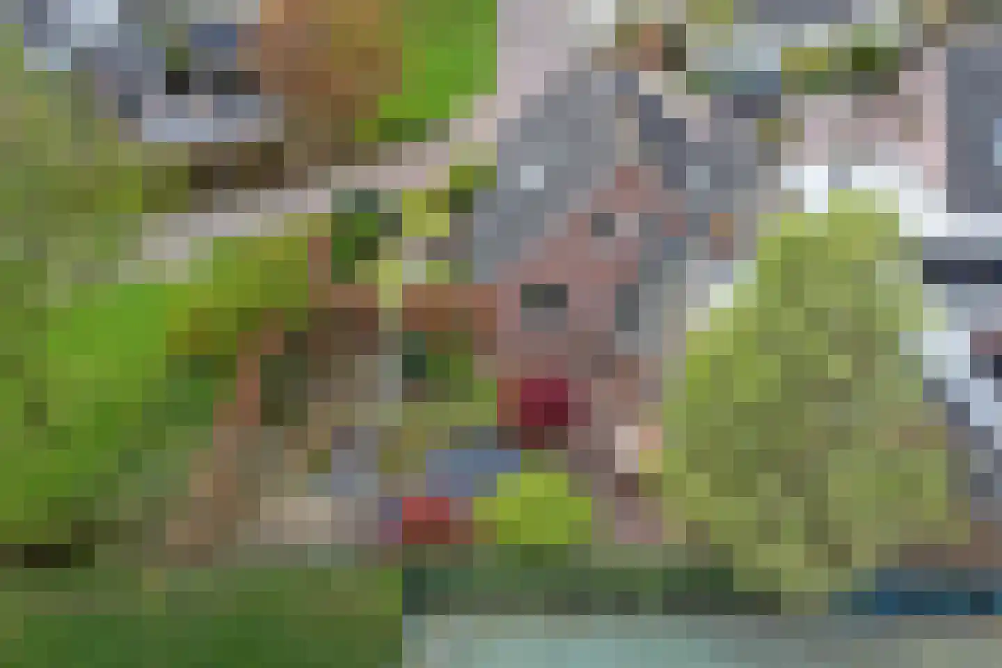 Lijsenhof 47 Brakel thumbnail 61