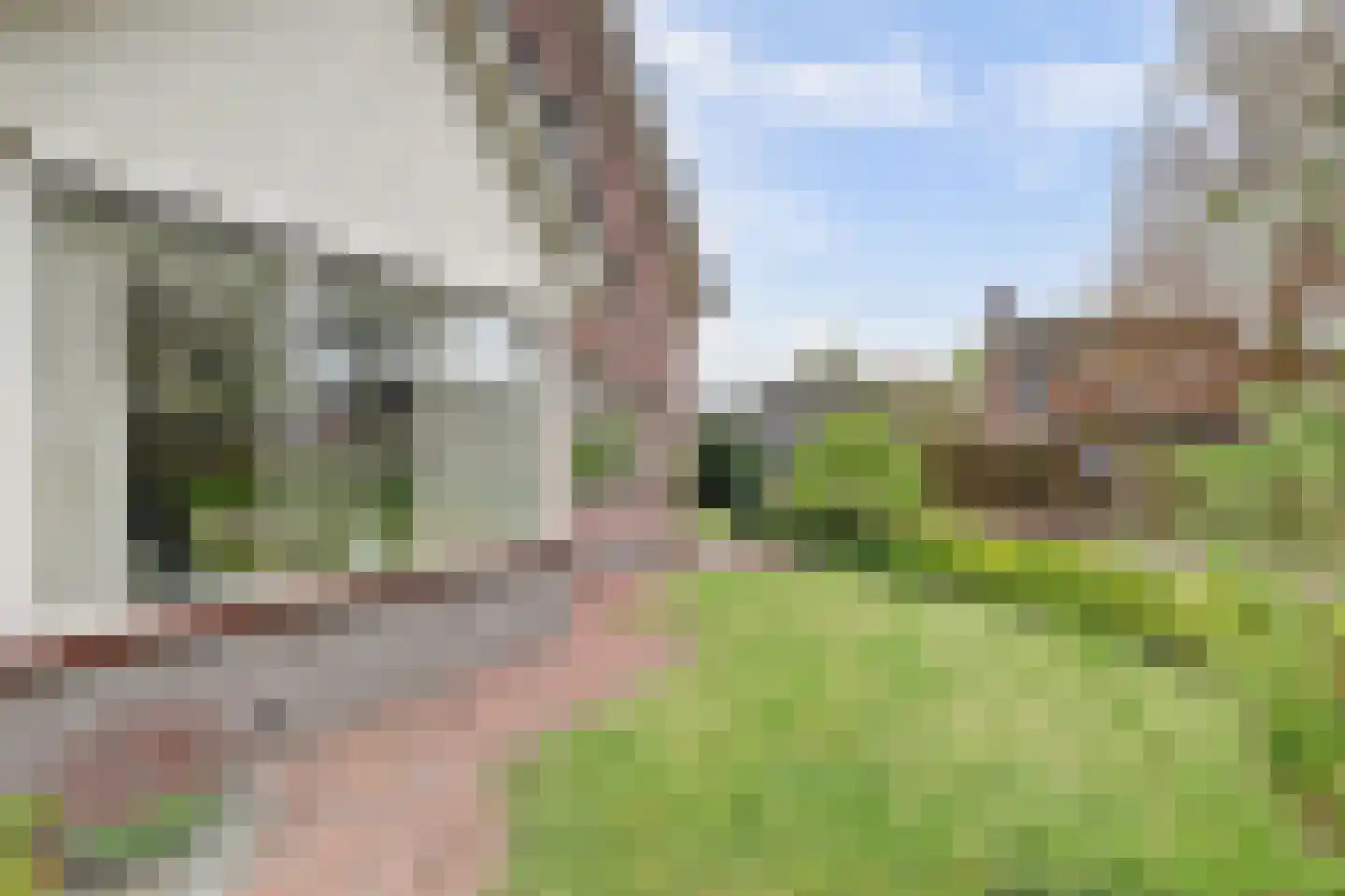Lijsenhof 47 Brakel thumbnail 8