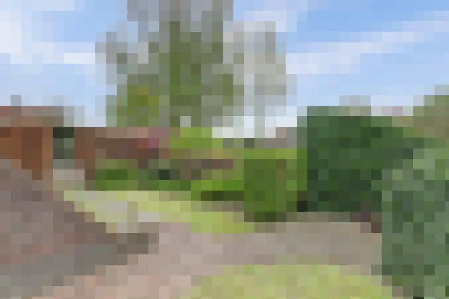 Lijsenhof 47 Brakel thumbnail 9