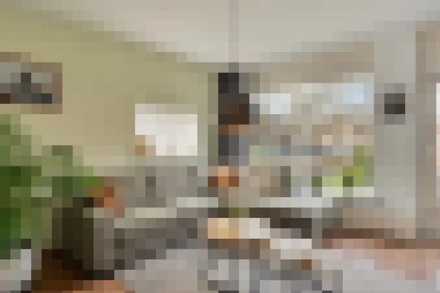 Lijster 1 Hoogvliet Rotterdam thumbnail 10