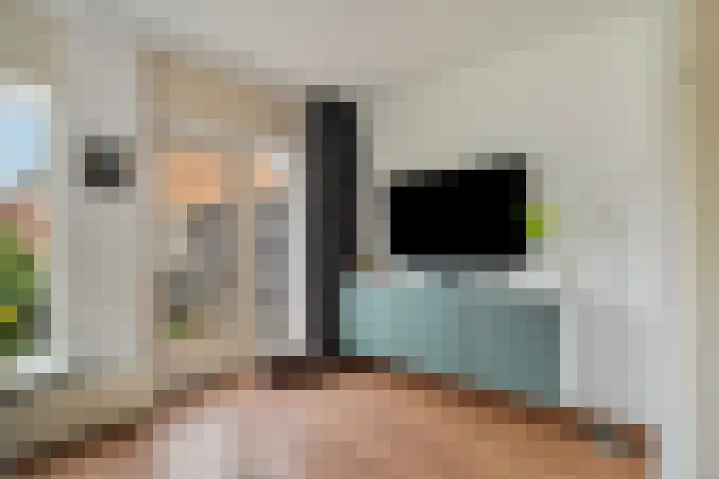 Lijster 1 Hoogvliet Rotterdam thumbnail 11