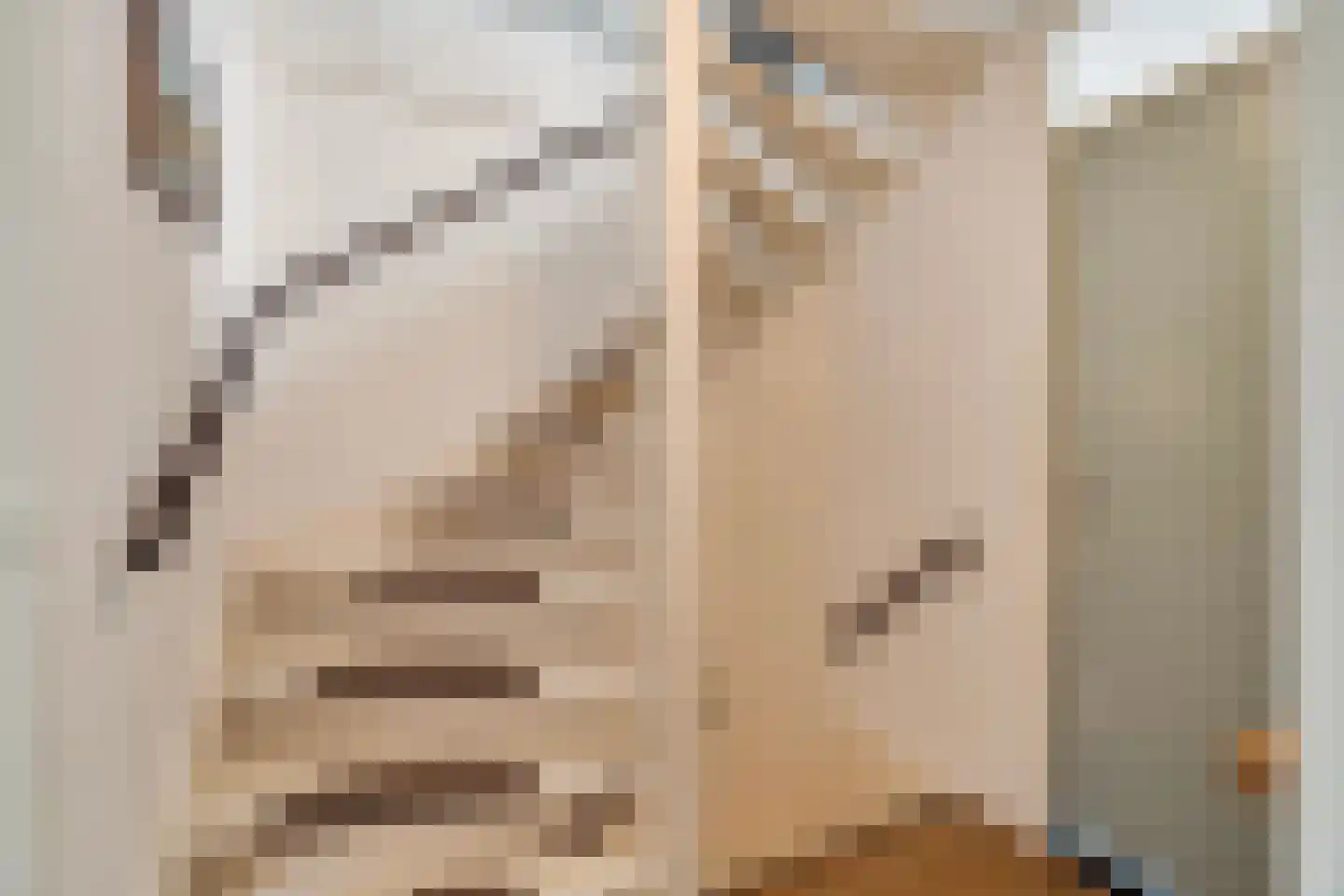 Lijster 1 Hoogvliet Rotterdam thumbnail 17