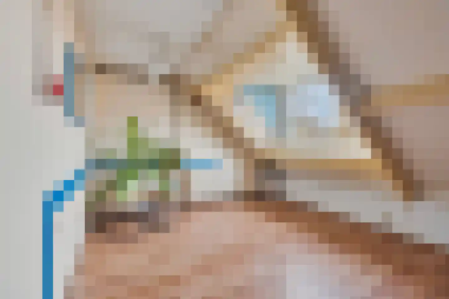 Lijster 1 Hoogvliet Rotterdam thumbnail 20