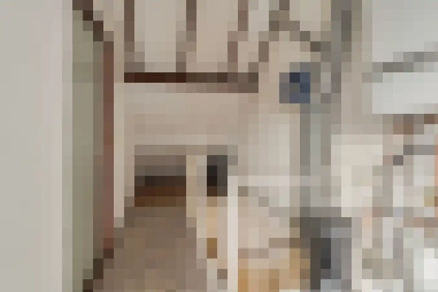 Lijster 1 Hoogvliet Rotterdam thumbnail 24