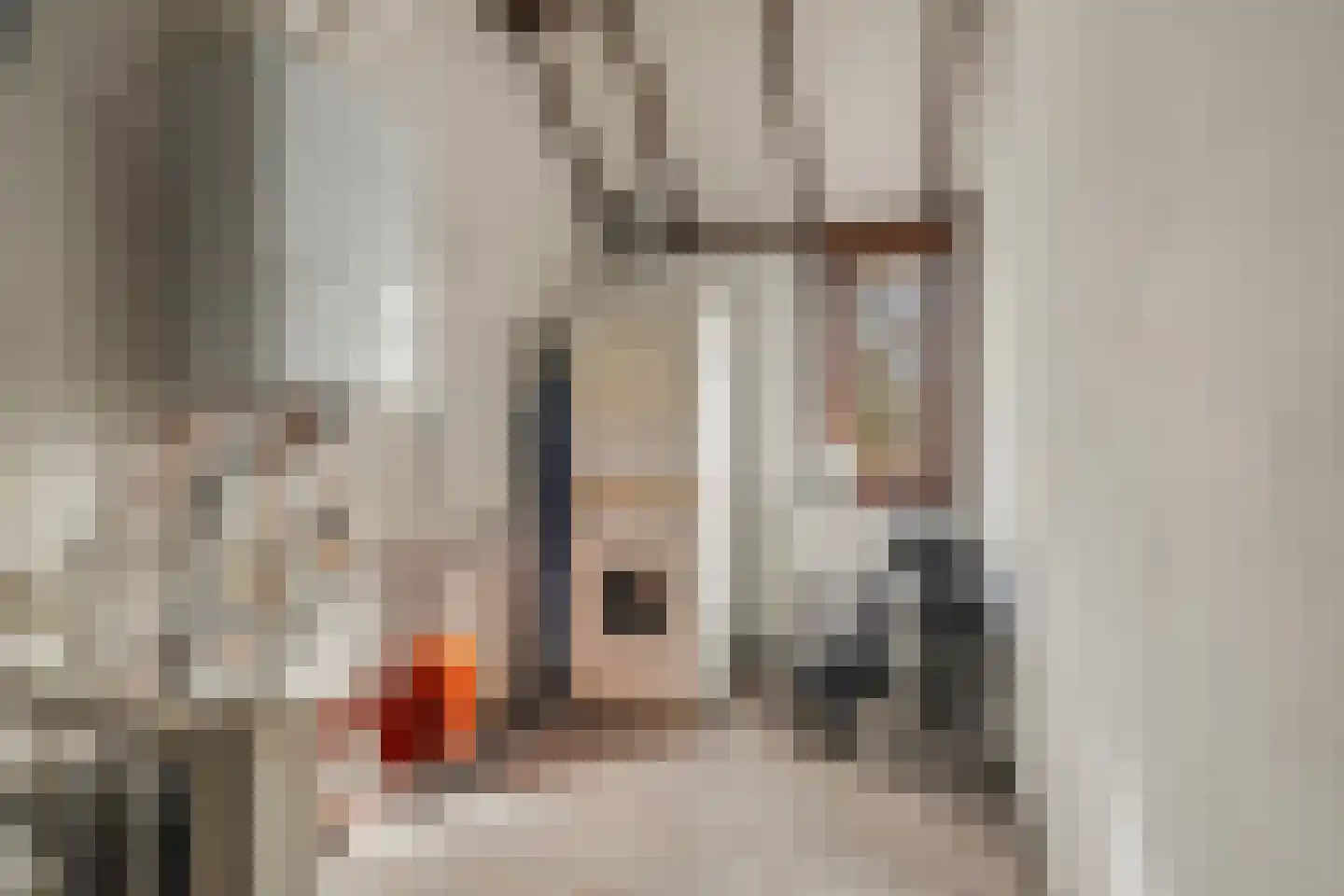 Lijster 1 Hoogvliet Rotterdam thumbnail 25