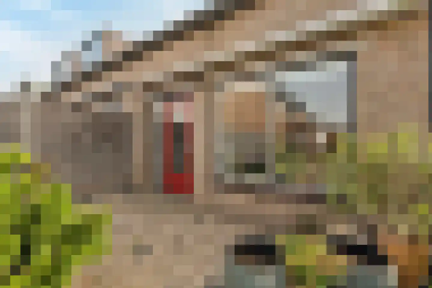 Lijster 1 Hoogvliet Rotterdam thumbnail 29