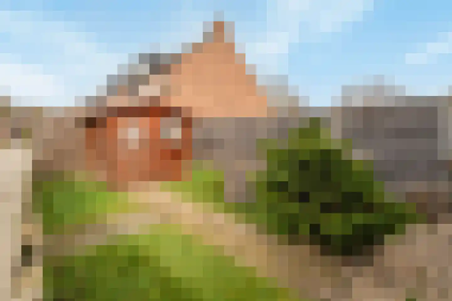 Lijster 1 Hoogvliet Rotterdam thumbnail 30