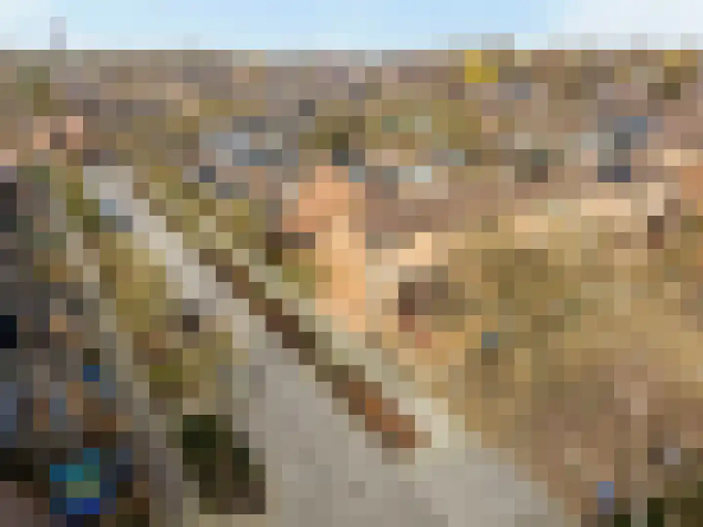 Lijster 1 Hoogvliet Rotterdam thumbnail 32