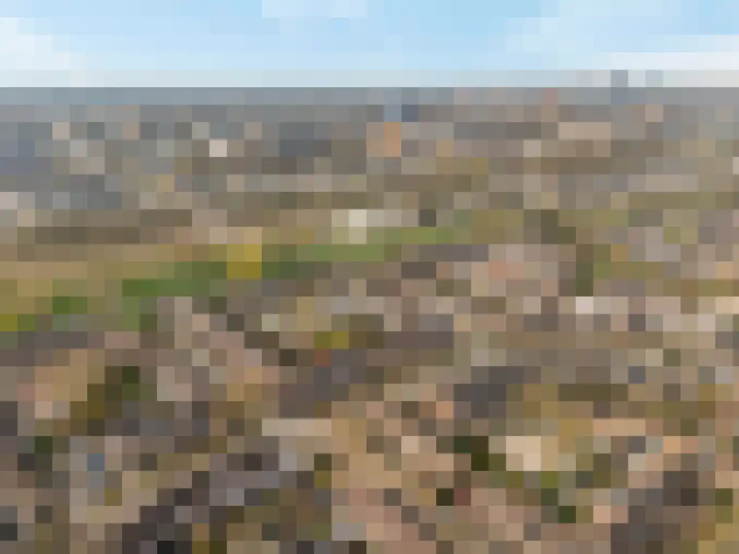 Lijster 1 Hoogvliet Rotterdam thumbnail 33