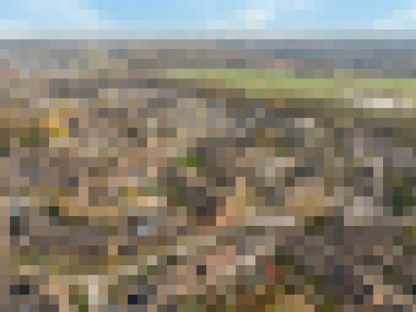 Lijster 1 Hoogvliet Rotterdam thumbnail 34