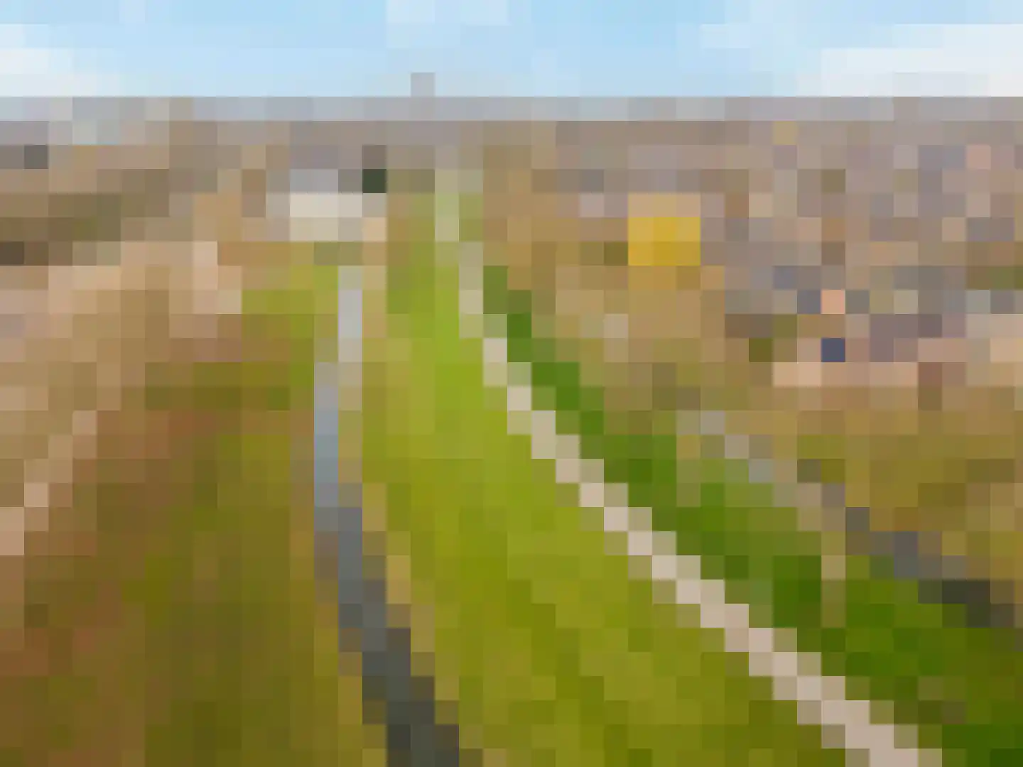 Lijster 1 Hoogvliet Rotterdam thumbnail 35